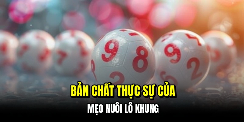 Bản chất thực sự của mẹo nuôi lô khung