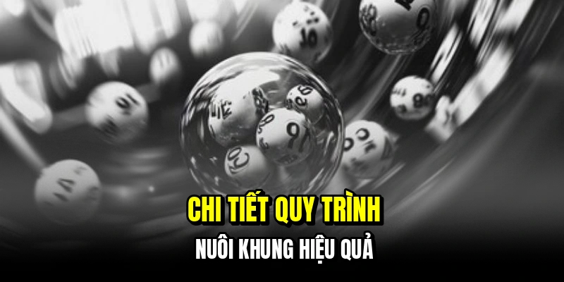 Chi tiết quy trình nuôi khung hiệu quả