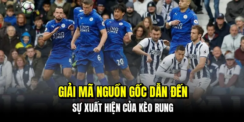 Giải mã nguồn gốc dẫn đến sự xuất hiện của kèo rung