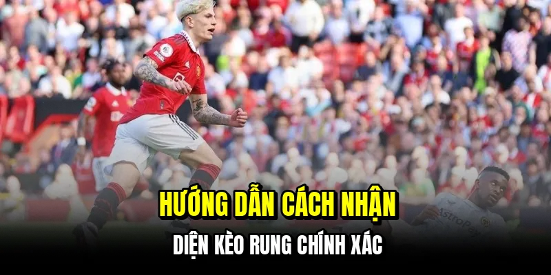 Hướng dẫn cách nhận diện kèo rung chính xác